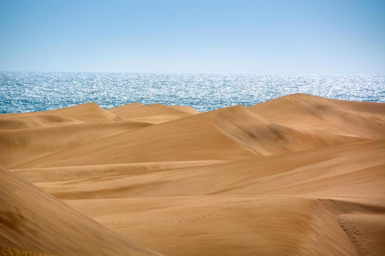 Playmar Pool By Wave Properties Maspalomas  Exteriör bild